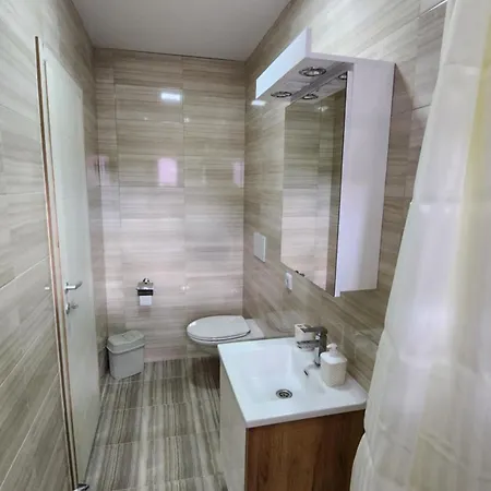 Dordevic Apartment Soko Banja