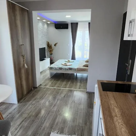 Apartment Dordevic Soko Banja