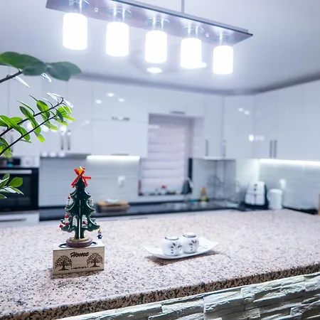 Dordevic Apartment *