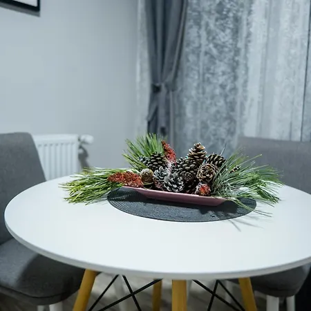 Dordevic Apartment Soko Banja